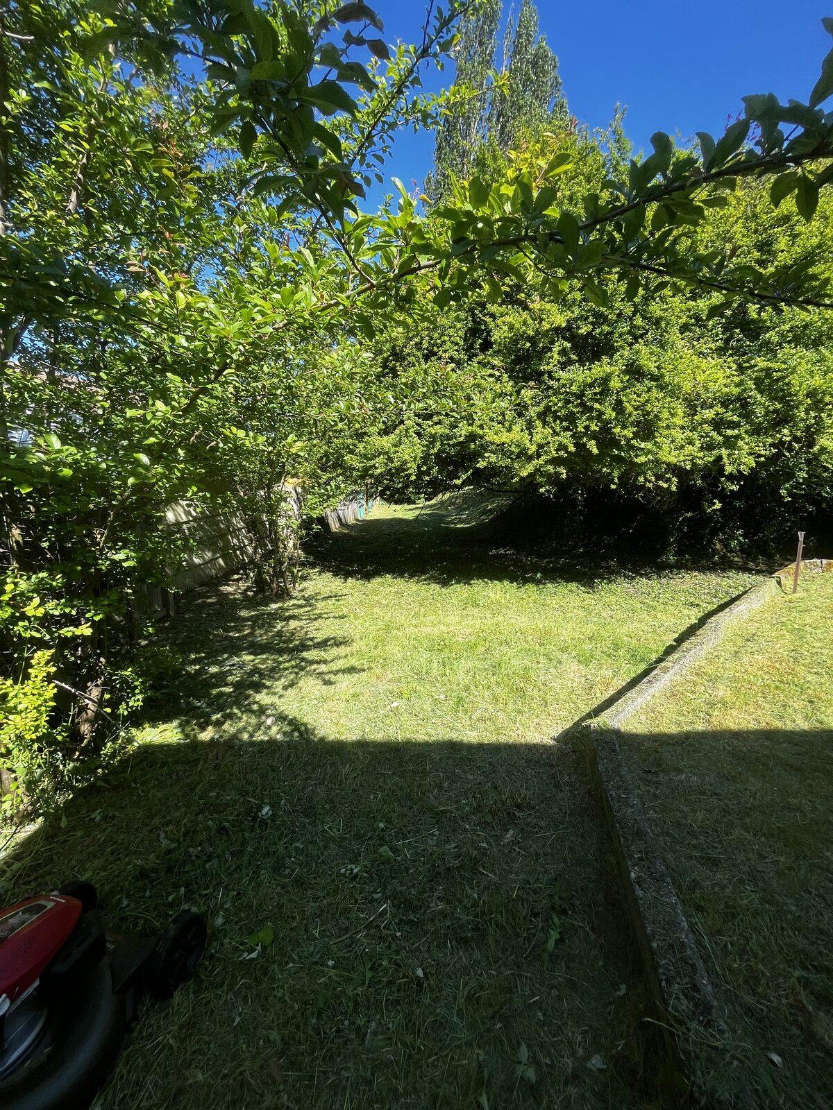 Same backyard after cleanup — freshly mowed with clean stripes