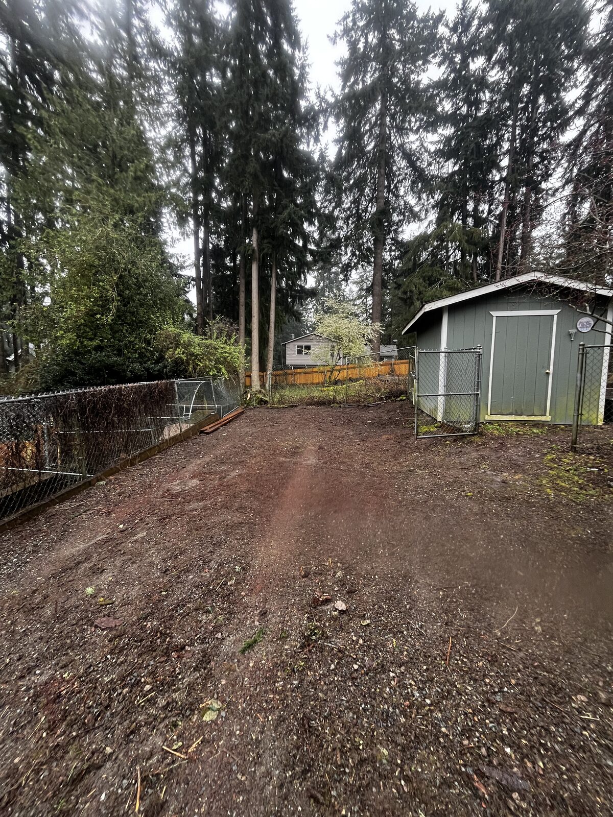 Same yard after cleanup — debris hauled off, cleared to a blank slate