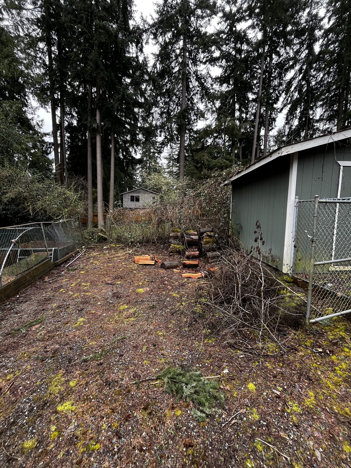 Yard strewn with fallen branches, stumps, and winter debris before cleanup